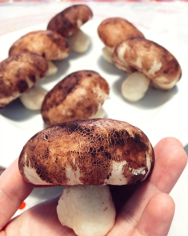 奶黄馅儿和奶黄包