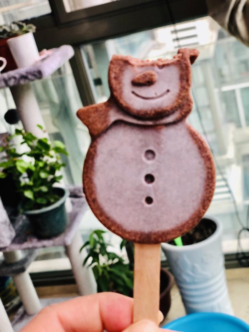 绝对无冰渣的最好吃的巧克力朗姆冰淇淋（纯手工）