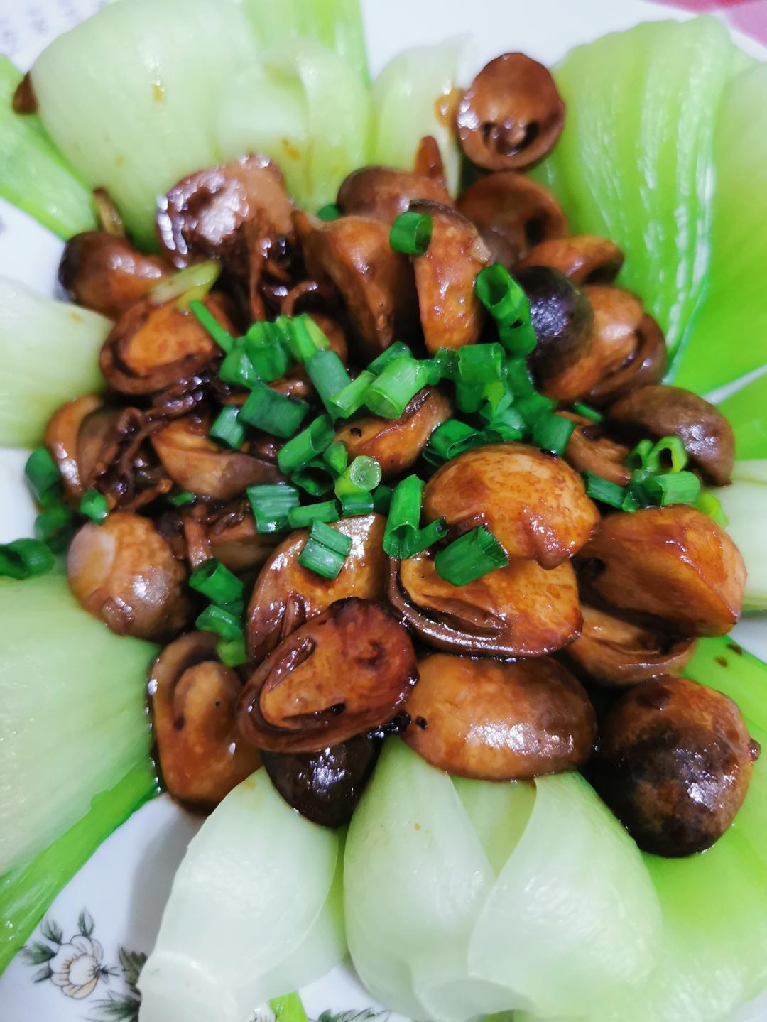 鲜到爆耗油草菇青菜