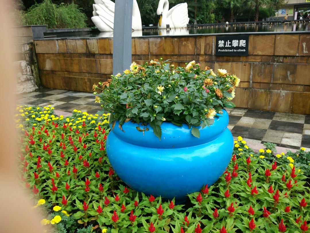 神奇去脂瘦身汤