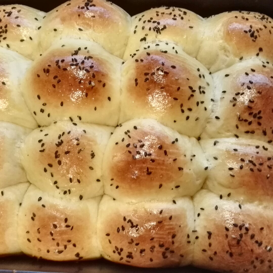 鲜奶油小餐包（一次发酵）