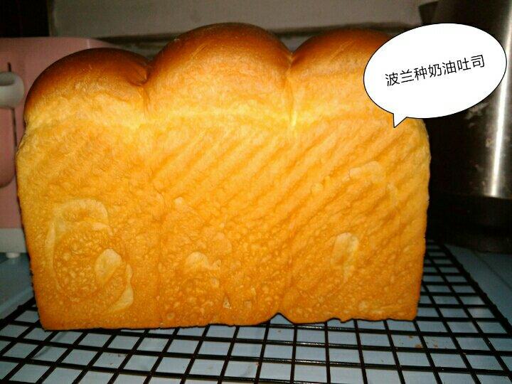 波兰种奶油吐司