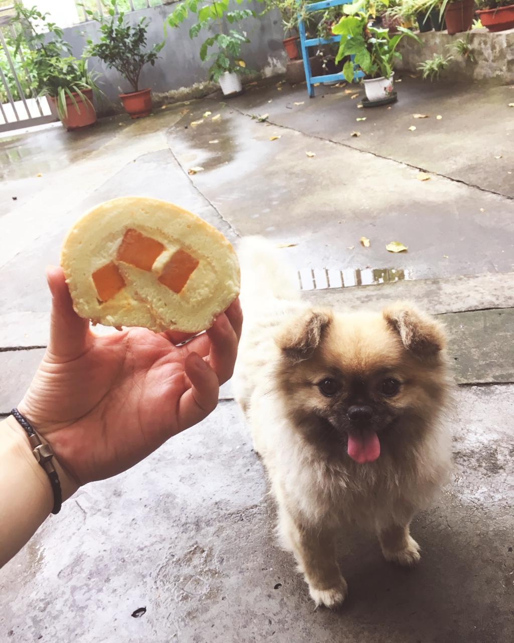 小四卷～风靡美食群的美味蛋糕卷