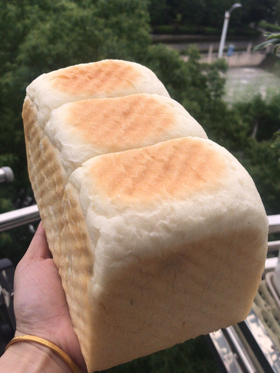 提子吐司，黄提奶油闪亮吐司