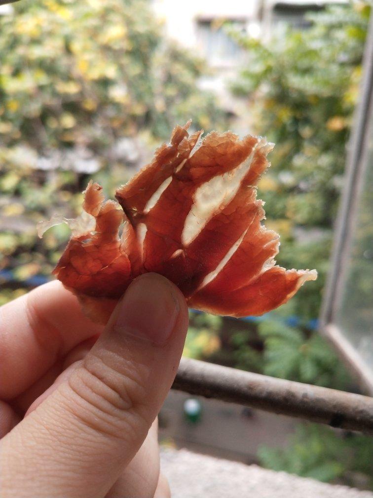 老妈秘制卤牛肉（附老卤养护大法）