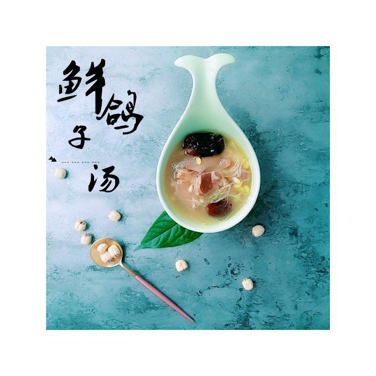 养生鸽子汤