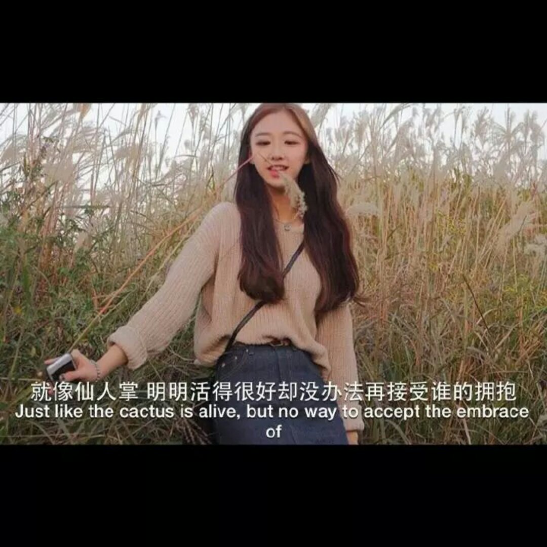兔子小姐bo