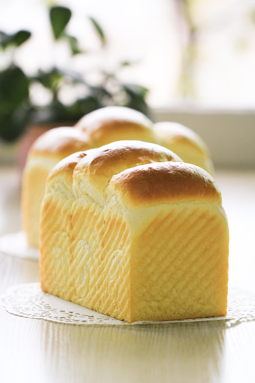 70%中种奶香吐司的做法