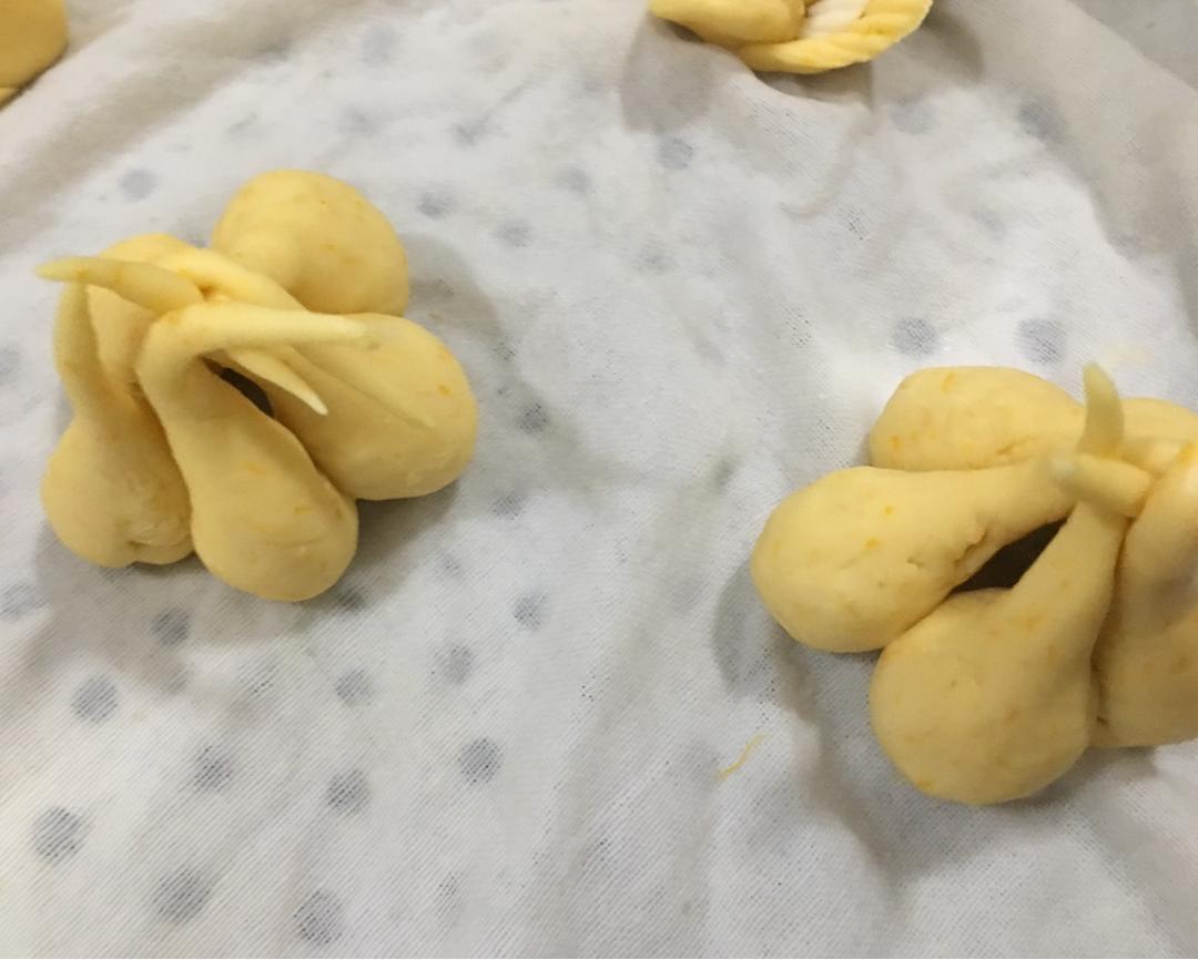 从脚绿到头的大蒜包