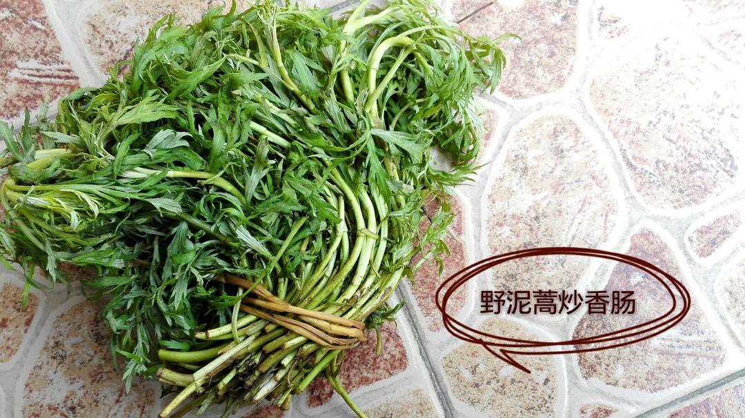 野泥蒿炒香肠