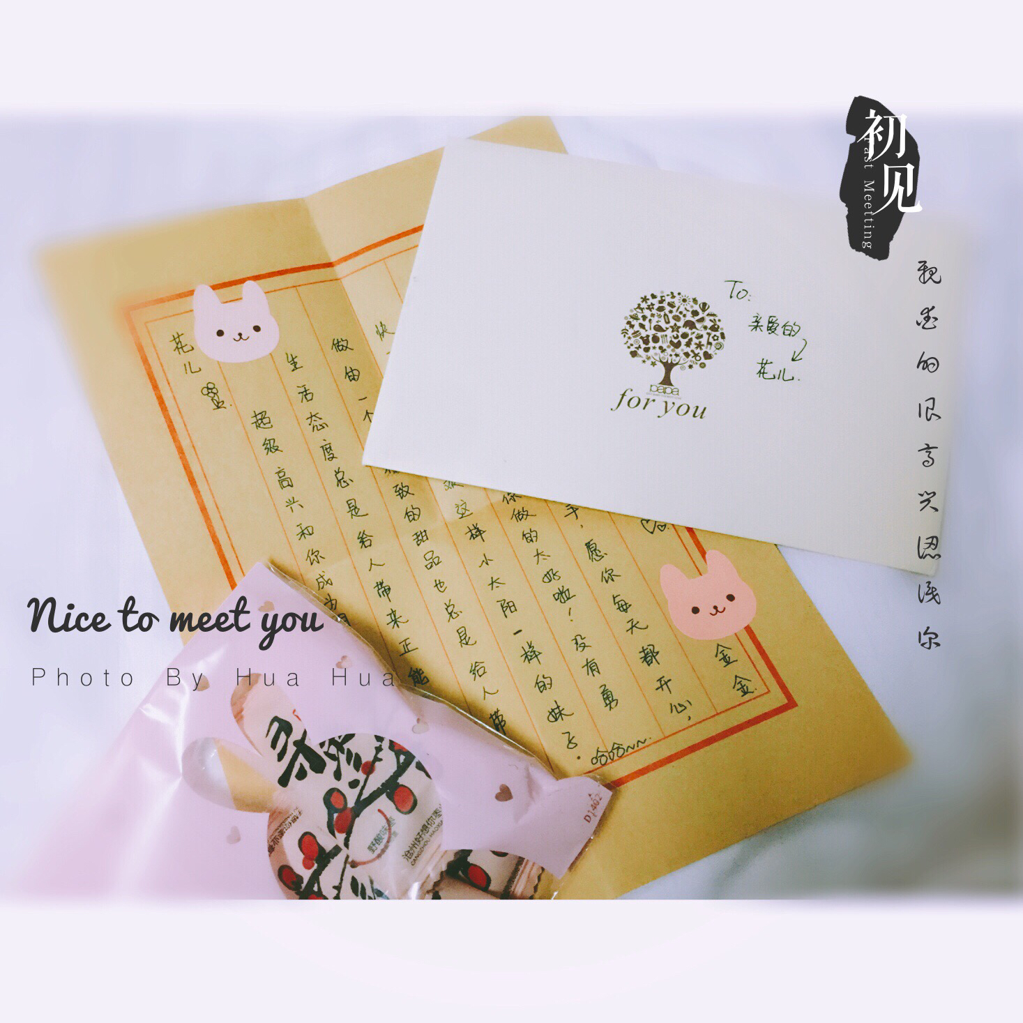 无处安放的小美好