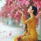 手机用户3608_tpqa