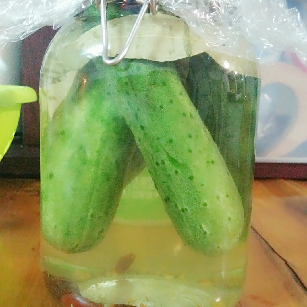 俄式酸黄瓜
