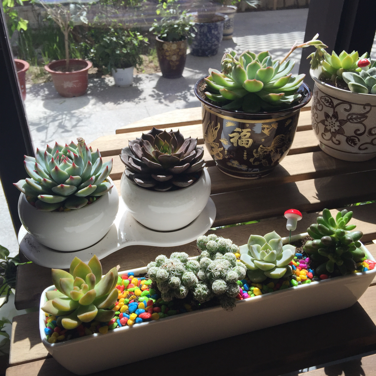 搬一座花园回家