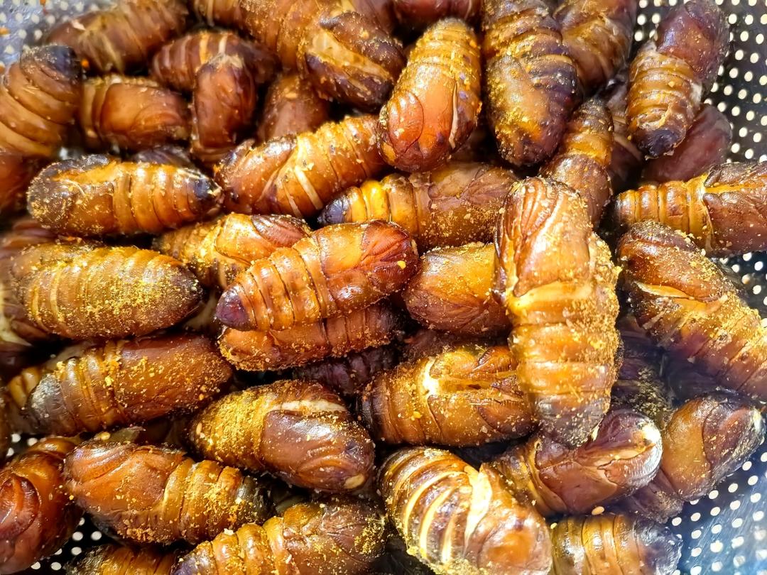 烤蚕蛹（空气炸锅版）