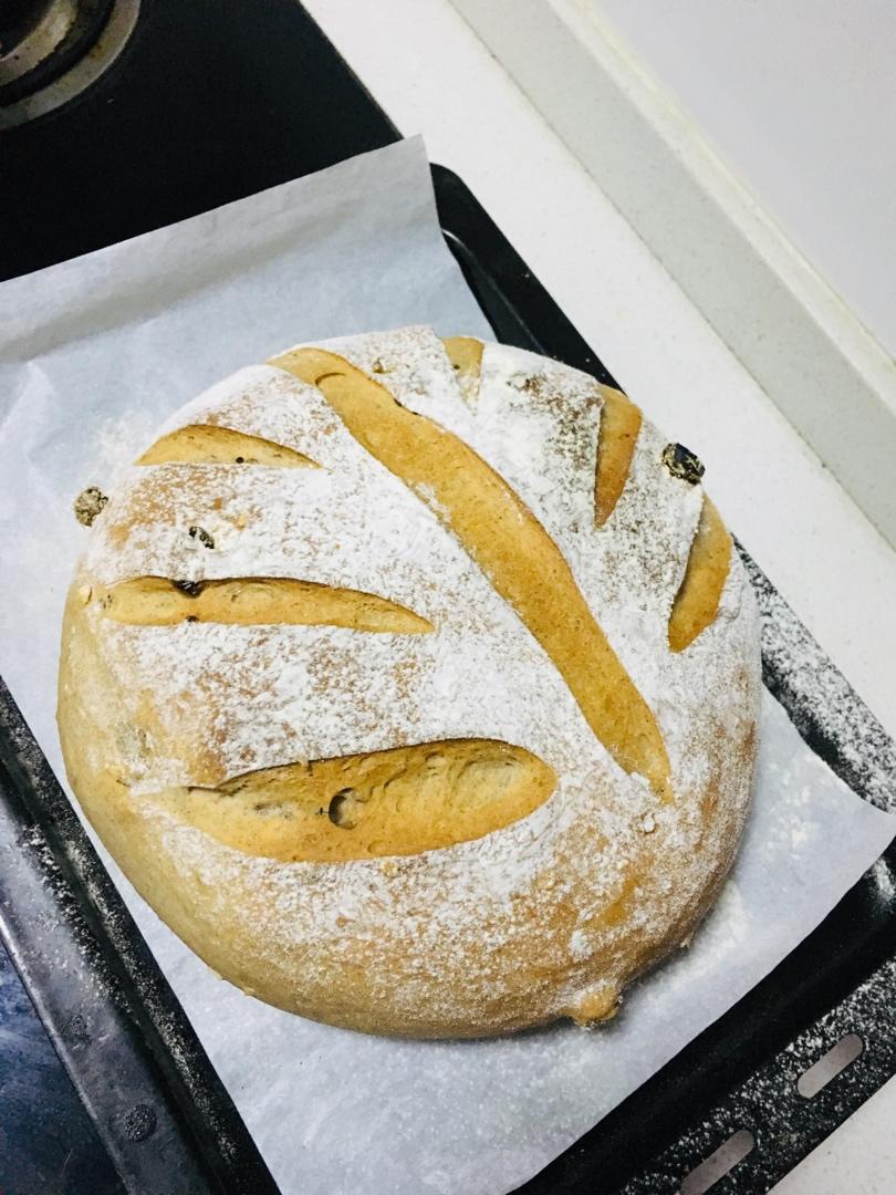 全麦蔓越莓核桃软欧包
