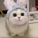 库洛米和布丁狗