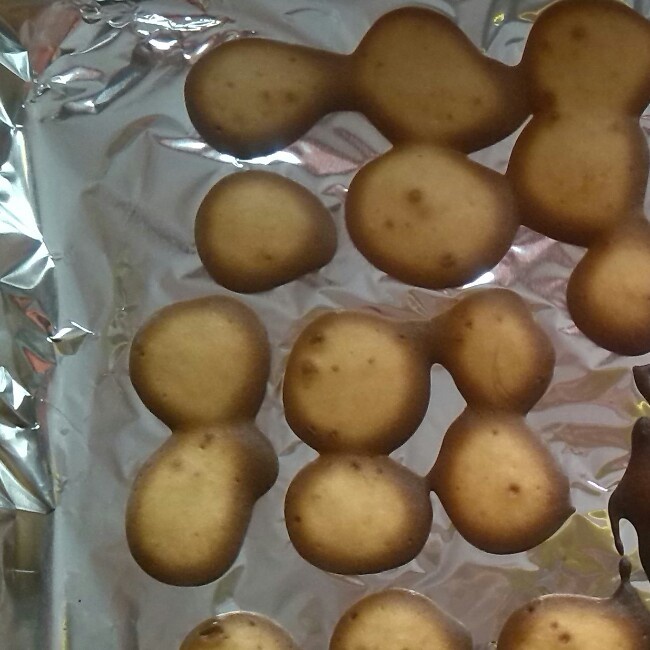 婴儿辅食版蛋奶小饼干（简单快手）