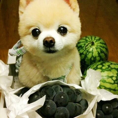 梅子Hmmm-