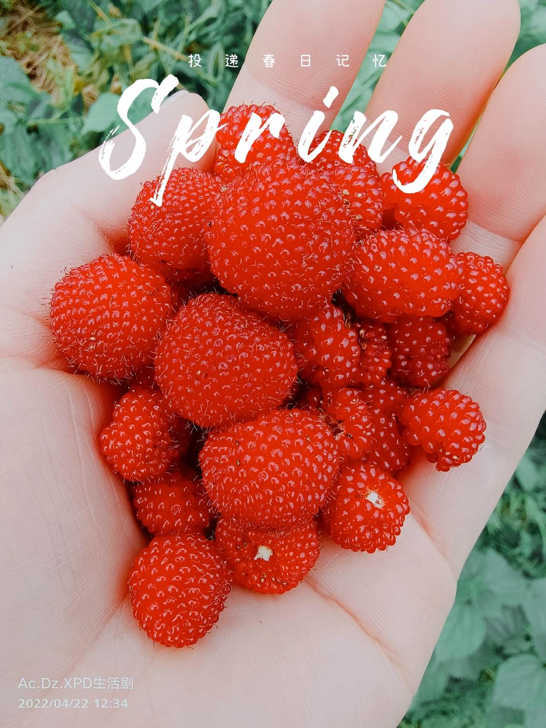 消逝的光年🌻【只为记述流逝的记忆】
