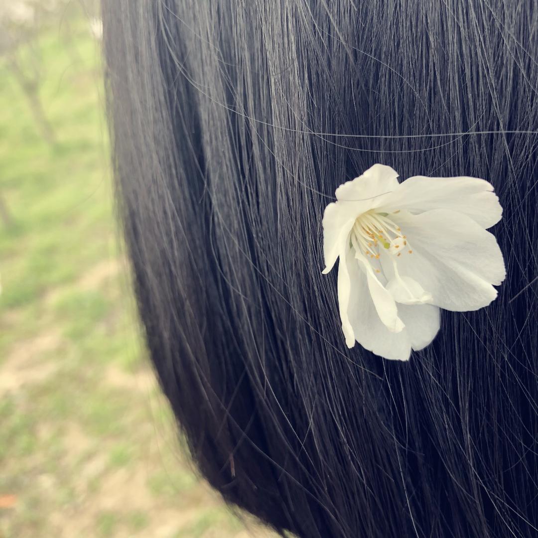 M大小姐姐