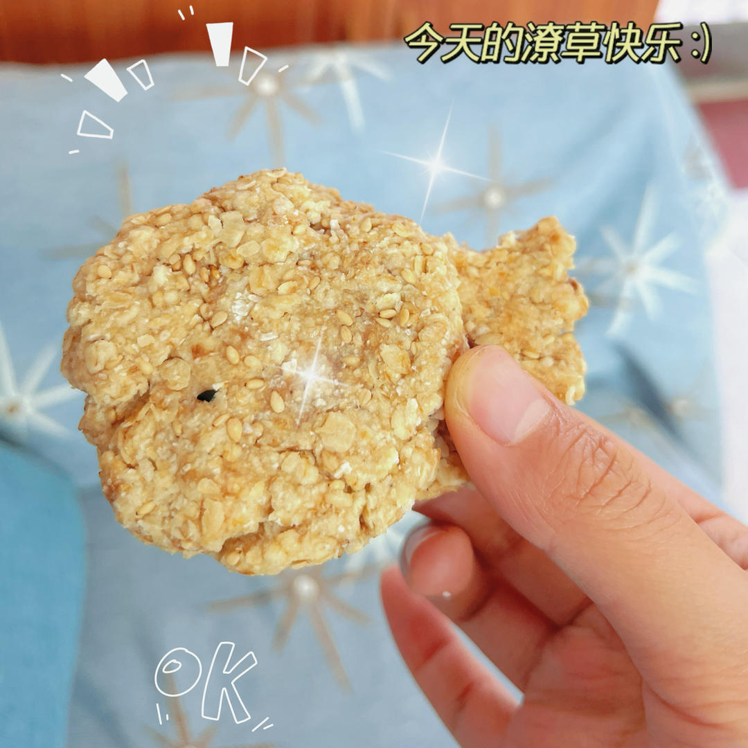 素食:有机燕麦芝麻大饼干