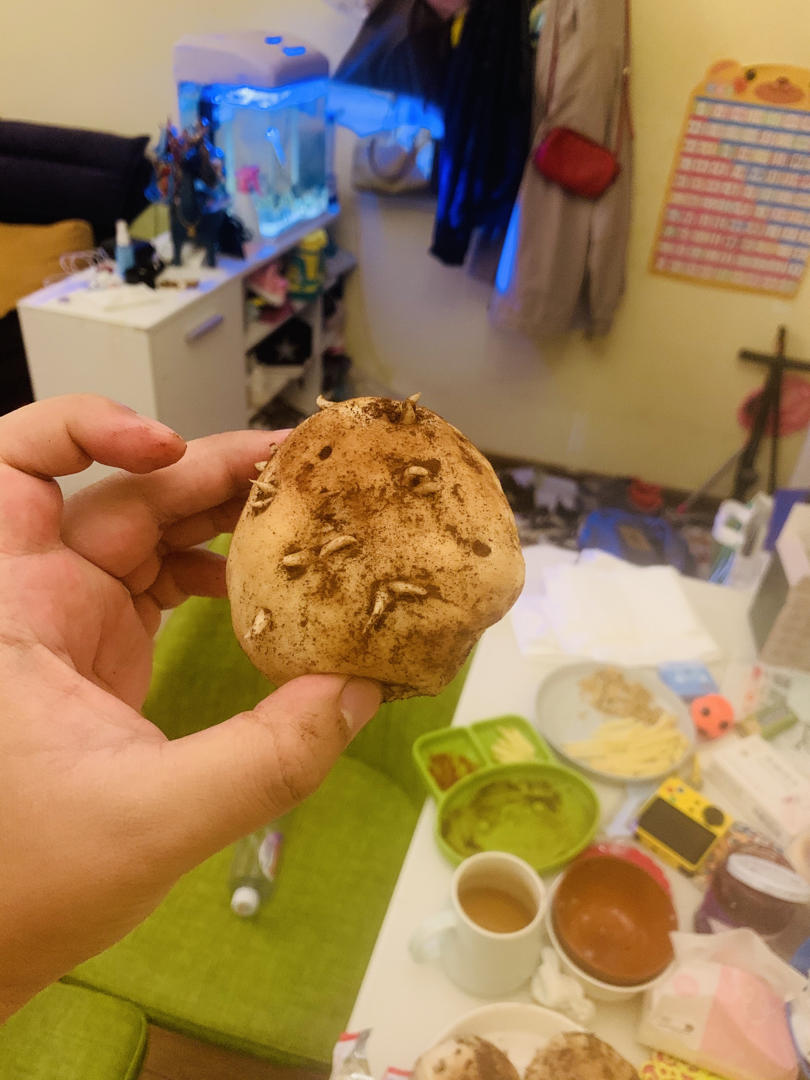 象形点心---土豆包