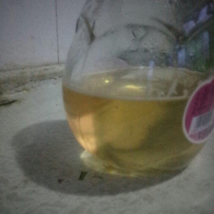 自制转化糖浆
