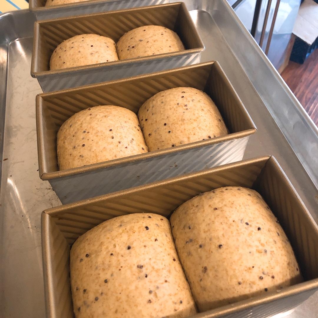 「麦麦吐司」——50%全麦➕藜麦