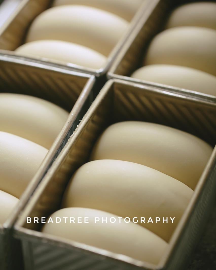 超棒的炼乳吐司只需一次发酵(450g土司盒x2)