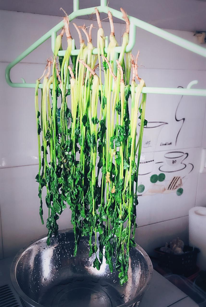 香菜碎，干香菜