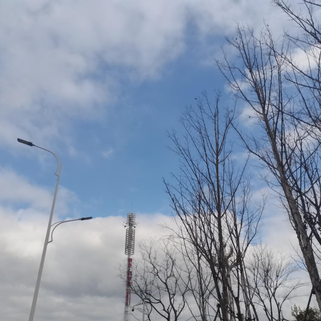 毛豆0956
