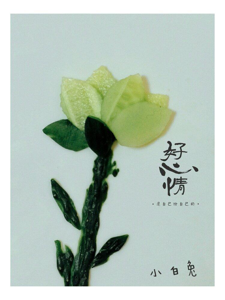 我的餐盘画系列