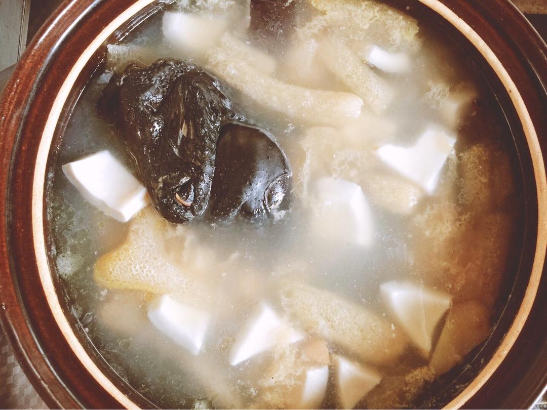 椰子竹荪乌鸡汤的做法