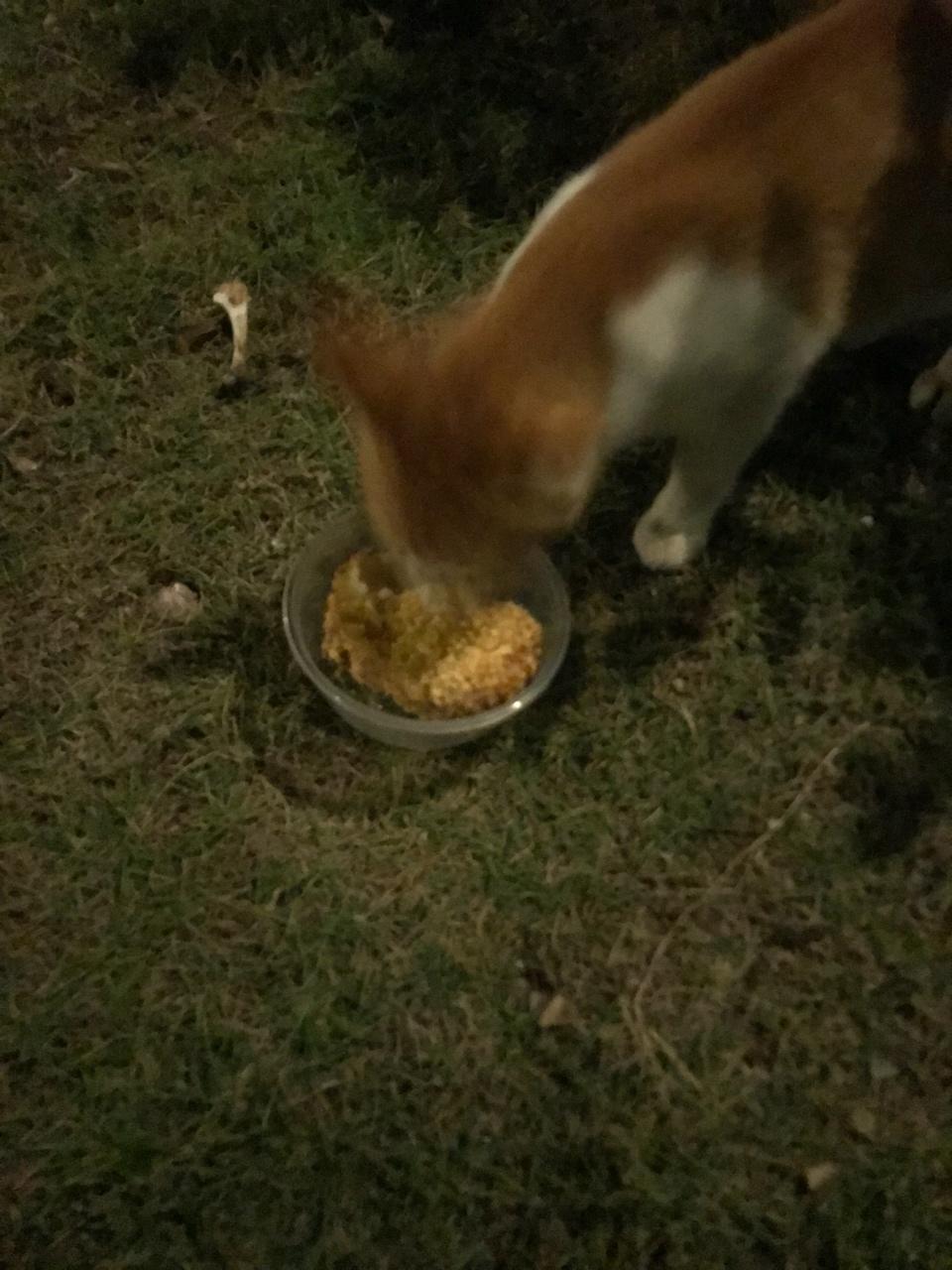 可乐饼