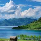 优秀的迷迭香很如鱼得水