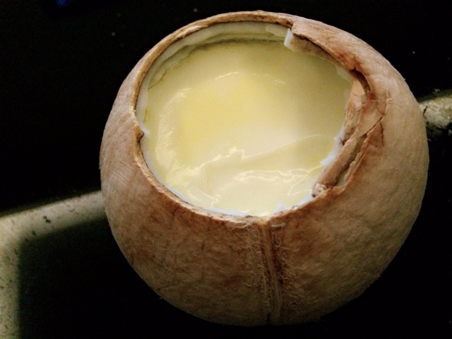 椰子炖奶