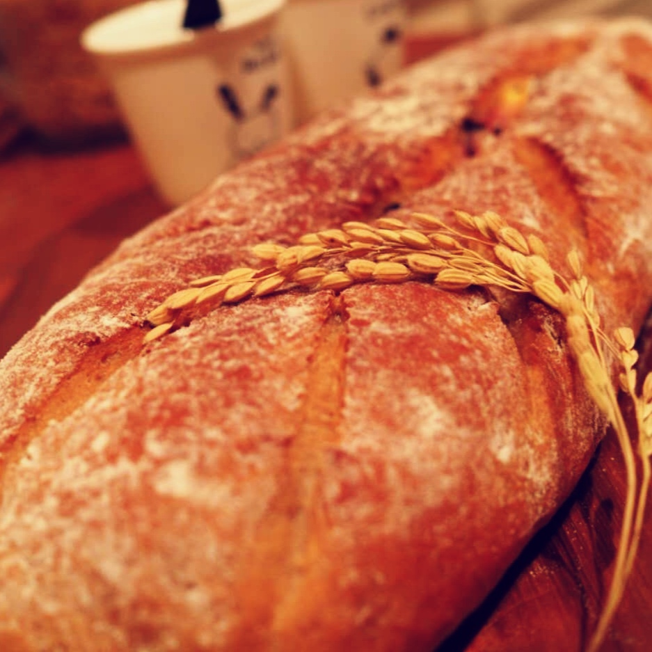 红酒芝士（仿原麦山丘版）