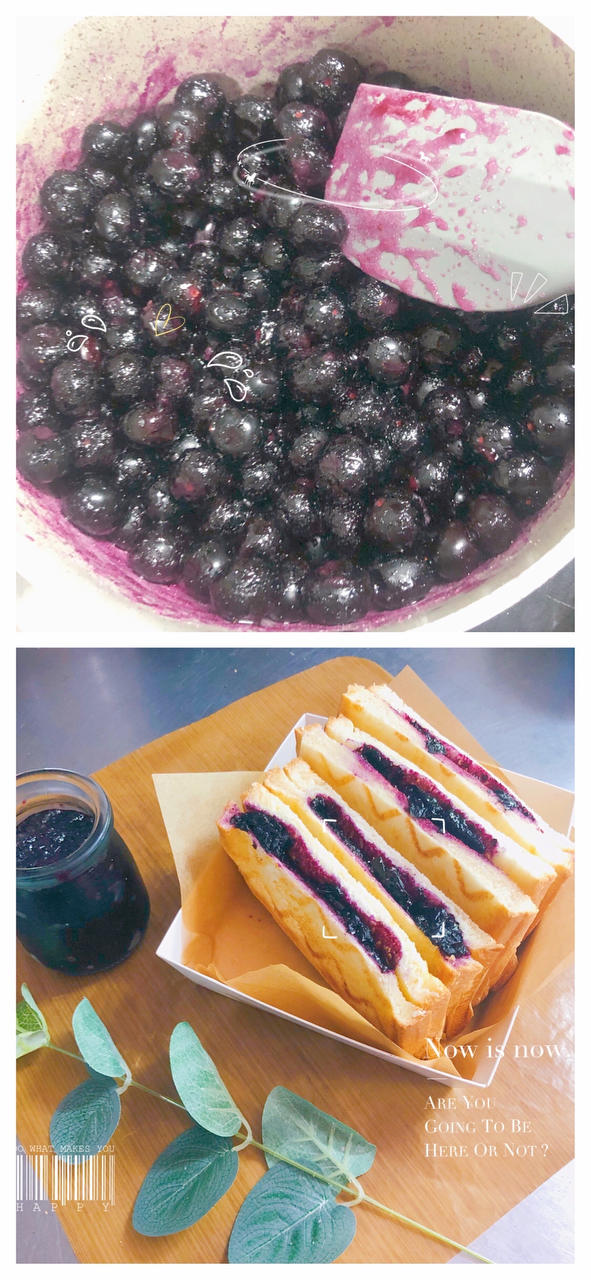 自制蓝莓酱[这配方太绝了，味道极好]