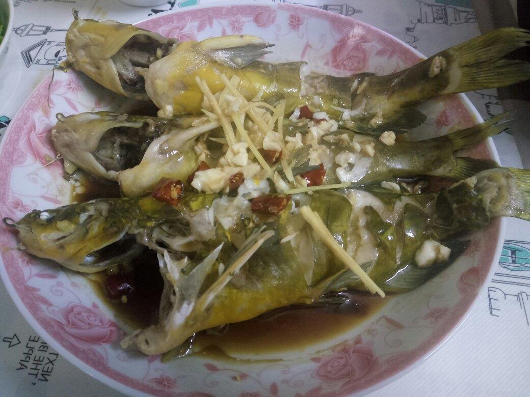 清蒸黄骨鱼