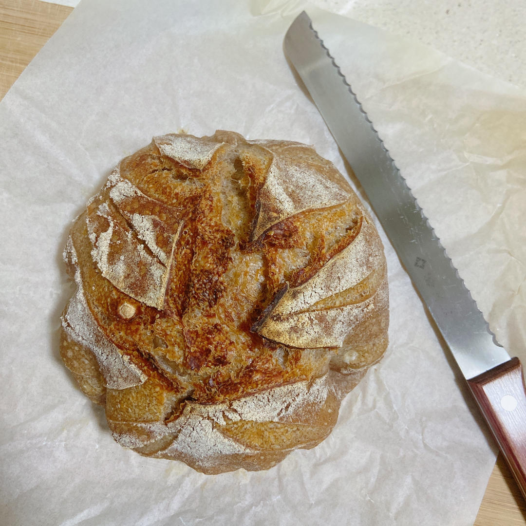 天然酵种欧包之练习