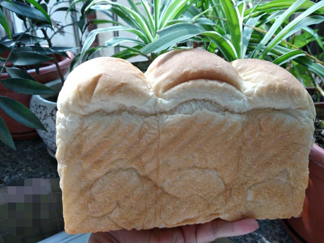早餐白吐司          （庞多米 Pain de mie）