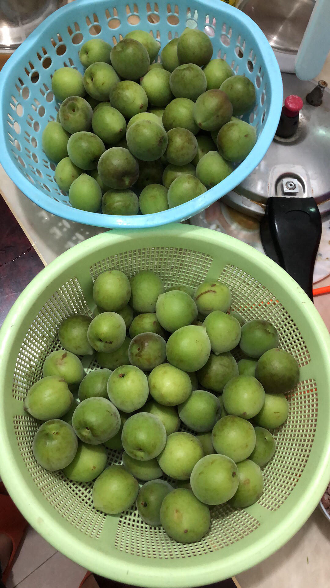 【青梅酒】梅子的沉醉时光（已填坑）