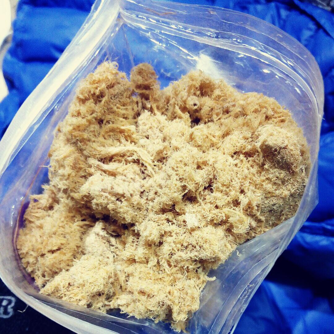 自制超简便香酥肉松（面包机版）