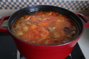 番茄牛腩汤的做法 步骤22