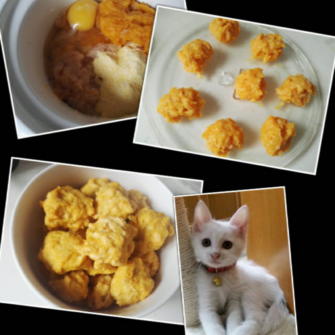 小白ll做的馋嘴猫(自制天然猫粮)
