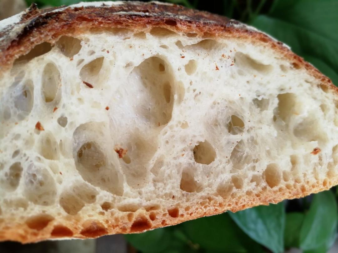 视频教程 天然酵种欧包 基础配方＆制作流程