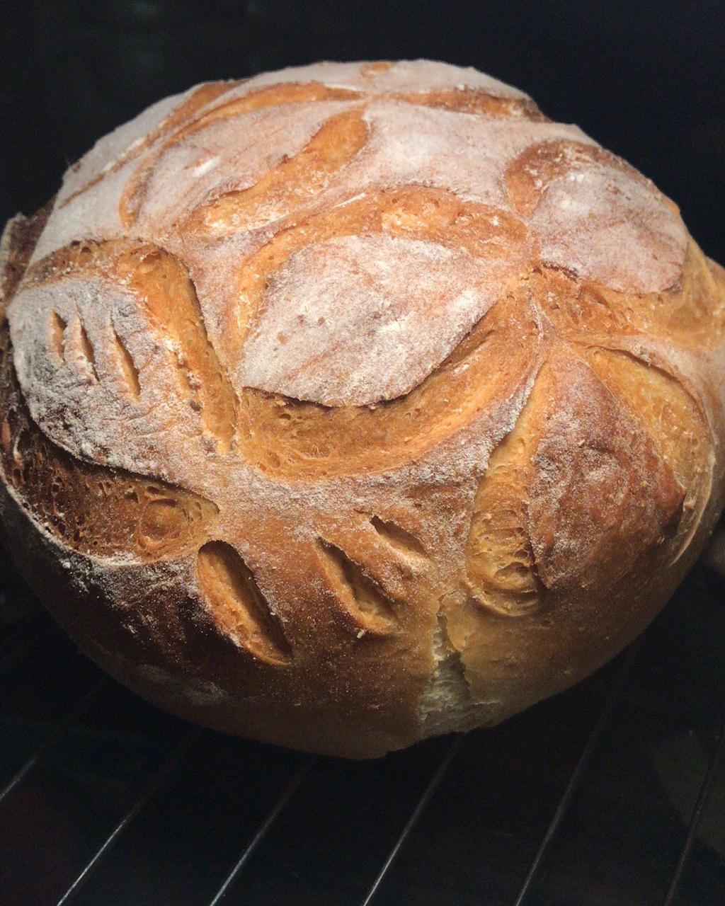 我的欧包割包视频