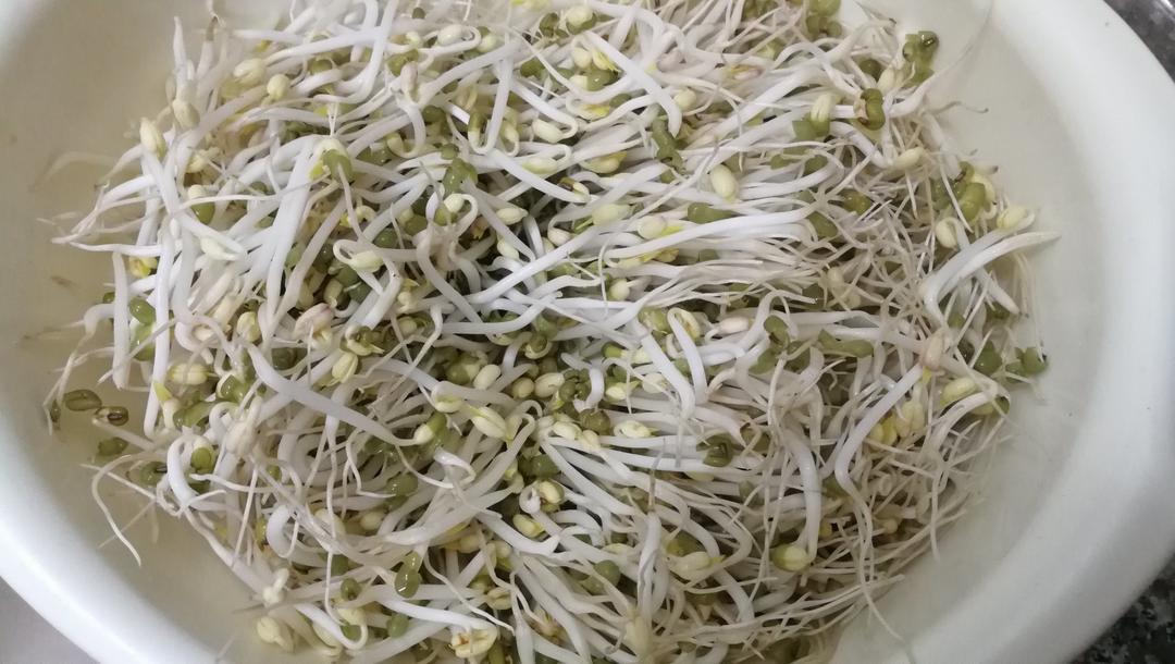 沥水篮发豆芽