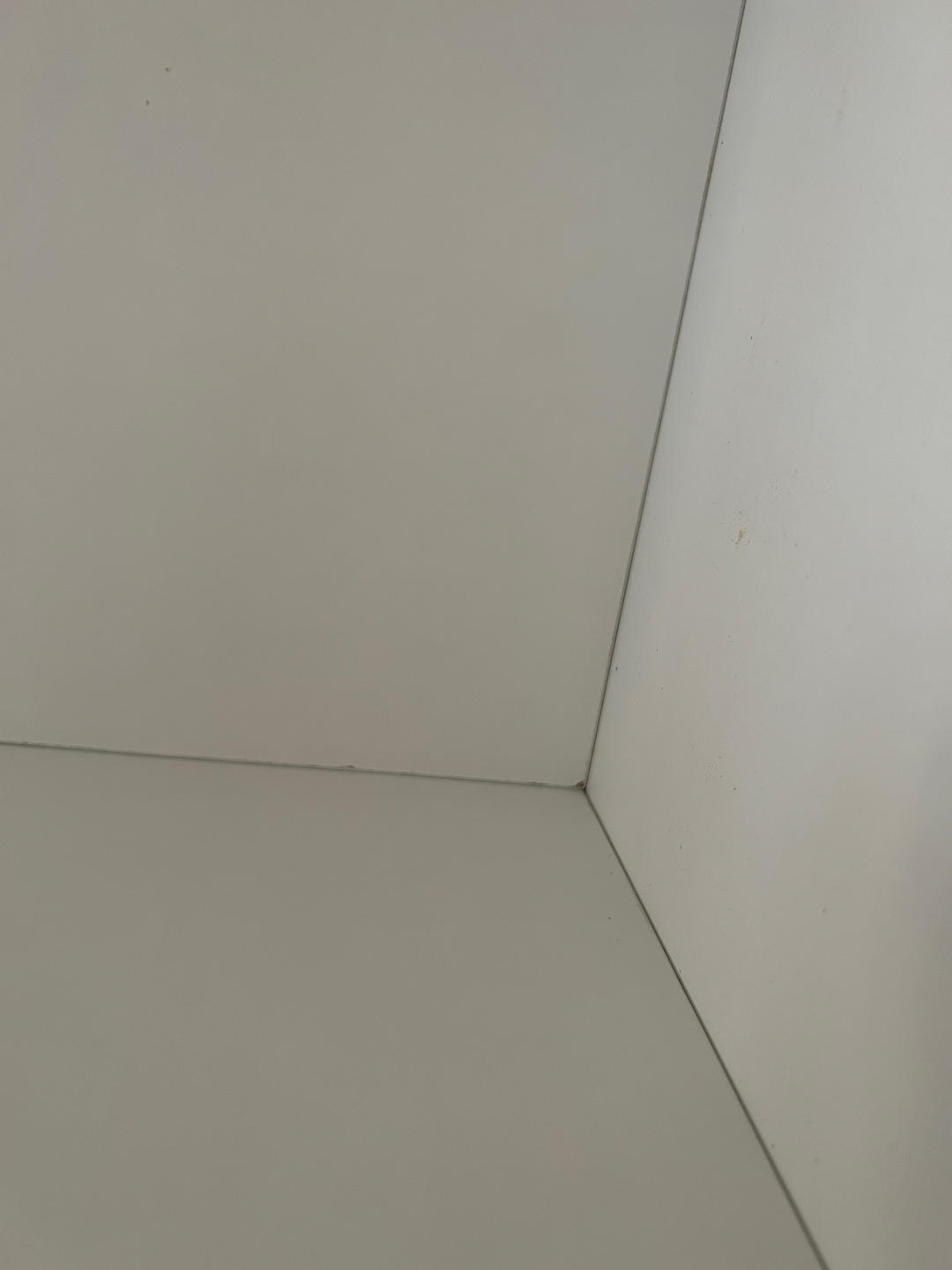 😋简单又美味！清炖牛肋条，吃货必尝！